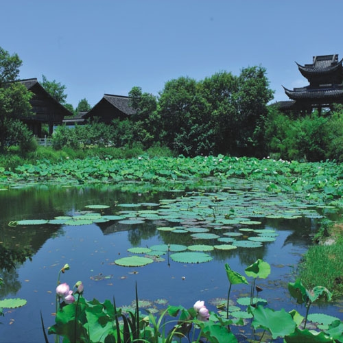 杭州西溪濕地綜合保護二期工程